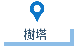 ●ツリー広場