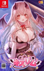 NS 基斯利姆 - 日
